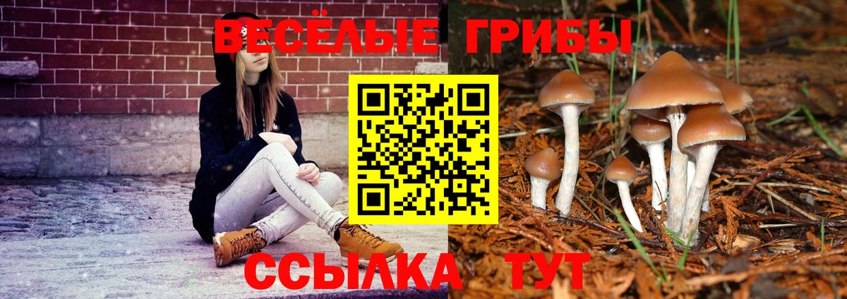 Псилоцибиновые грибы мухоморы  Вход с VPN  Алатырь 