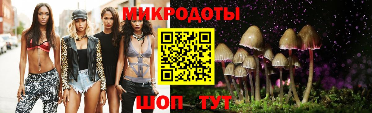 Галлюциногенные грибы Magic Shrooms Алатырь